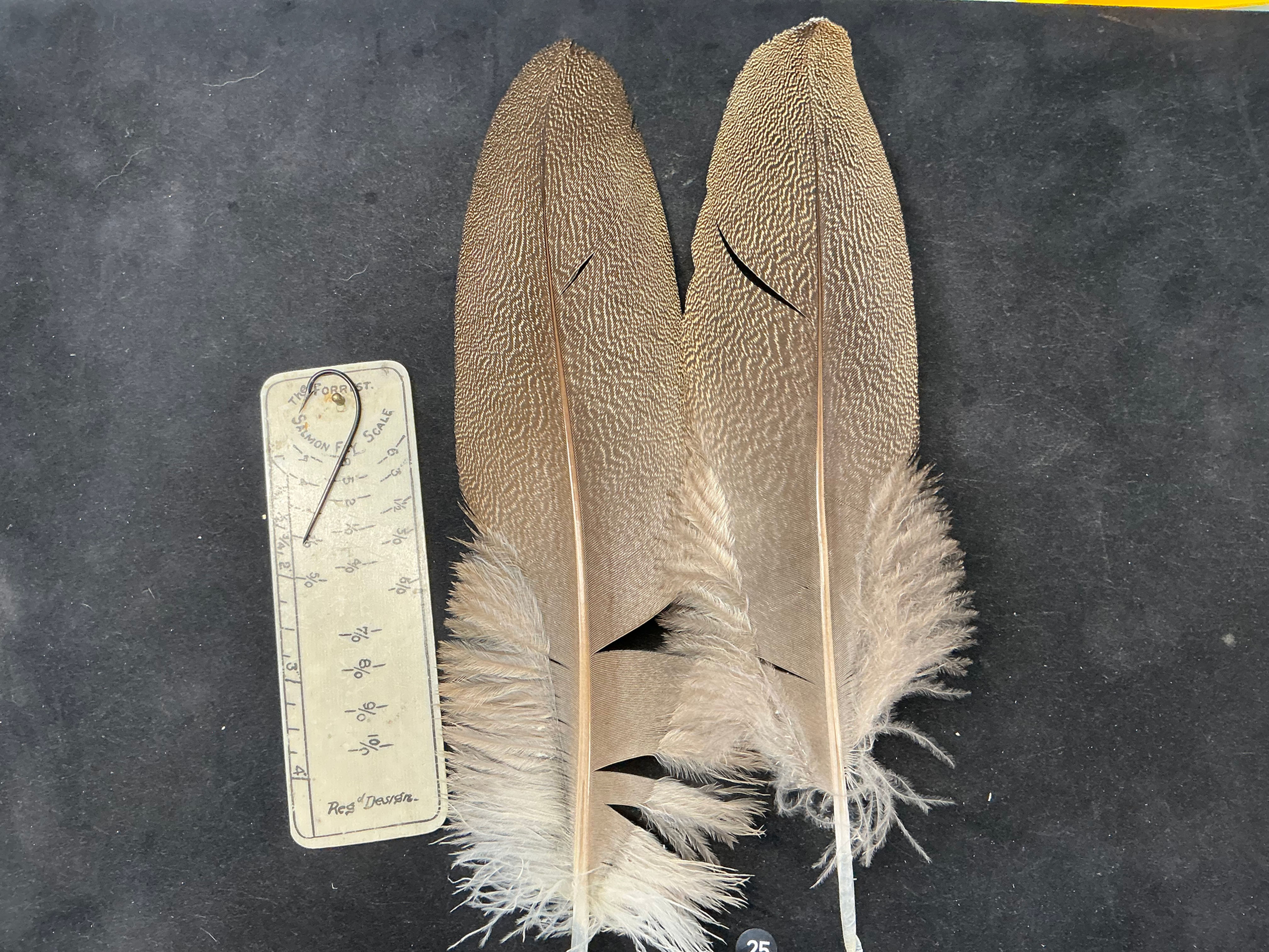 Kori Bustard  feathers  as shown 5/0 #25