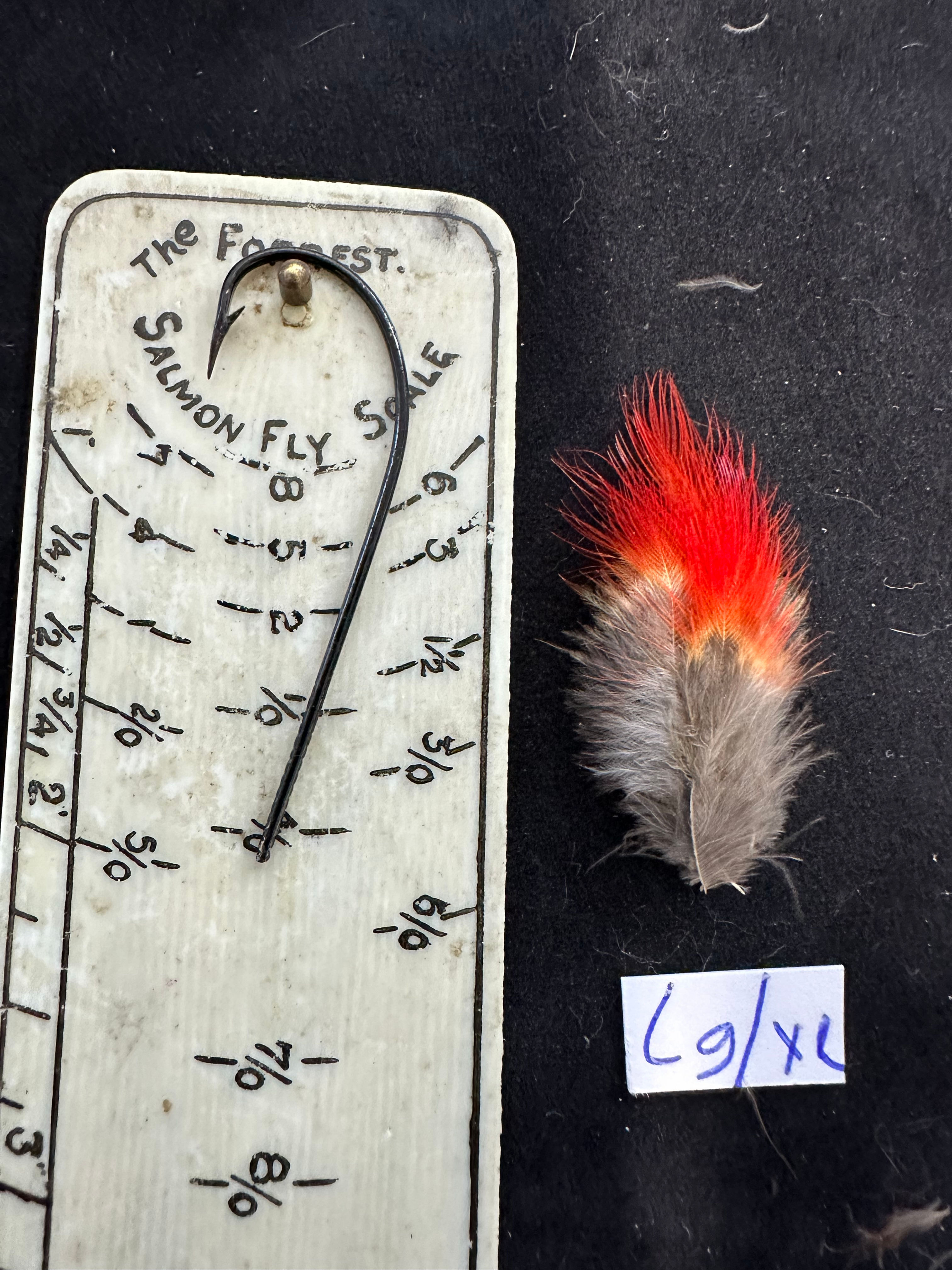 Crimson Fruit Crow Feathers