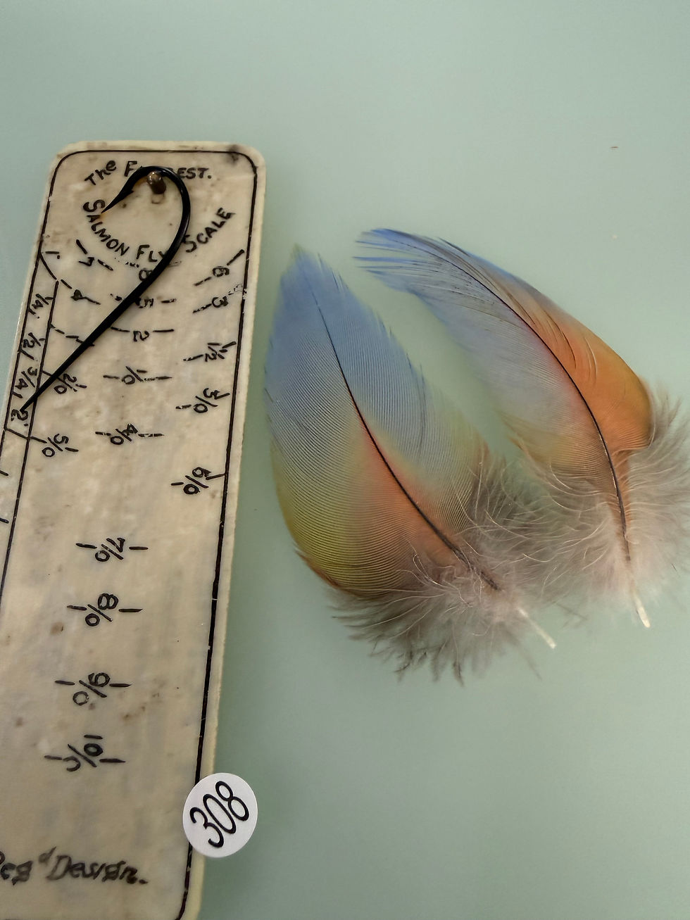 Thumbnail: Matched  Macaw Parrot feathers for  Salmon Flies 302-315