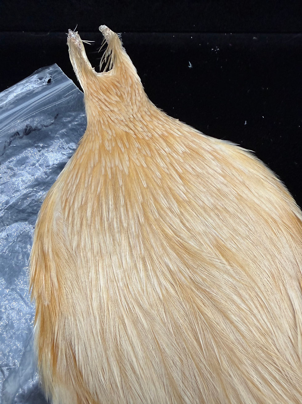 Thumbnail: Vintage Hoffman  Dry Fly Neck from Ronn Lucas Collection 50