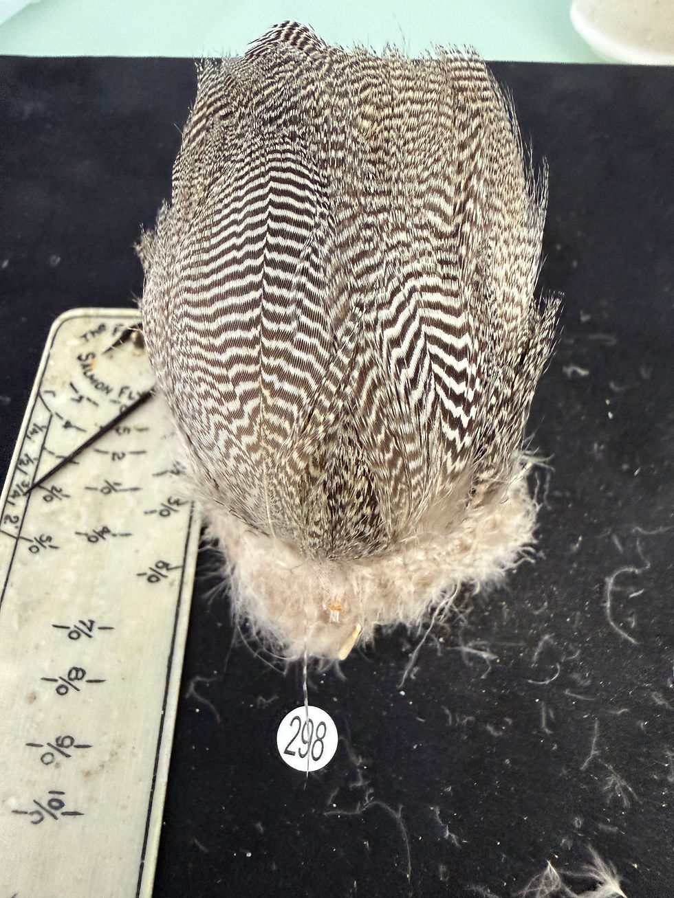 Thumbnail: Vintage Large Clump of  Premium Teal Duck feathers 298