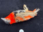 Thumbnail: Orange Weaver bird mount Super nice 59