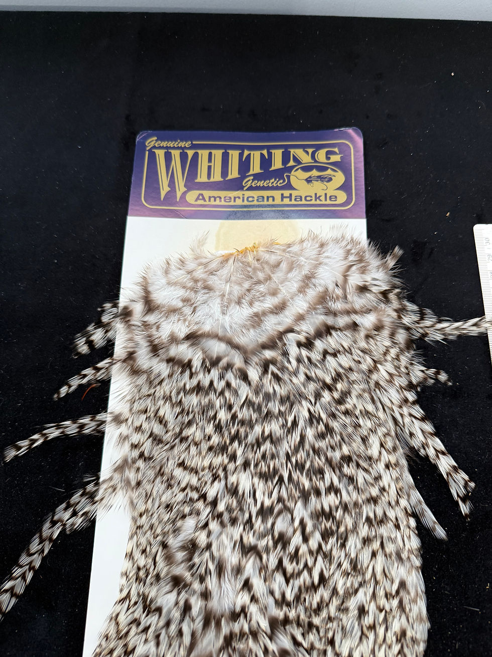 Thumbnail: Vintage Whiting American Genetic Saddle Hackle from Cullen Collection S11