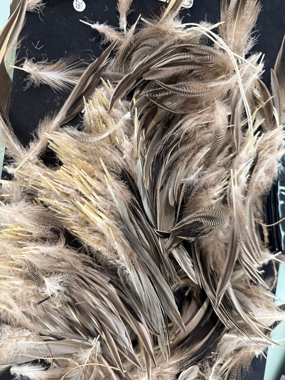 Thumbnail: Vintage Large Clump of  Premium Pintail Drake Duck feathers 292