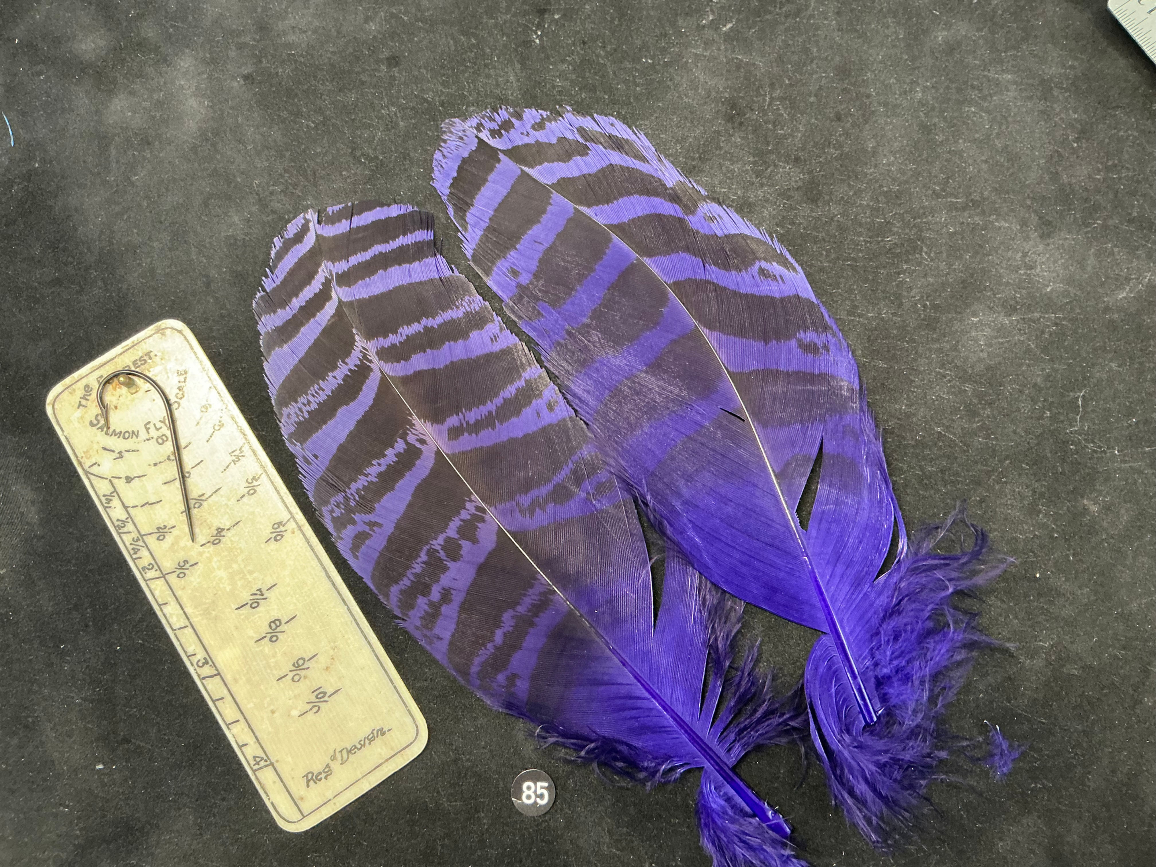 Florican Bustard dyed Feathers  as shown 7/0 #85