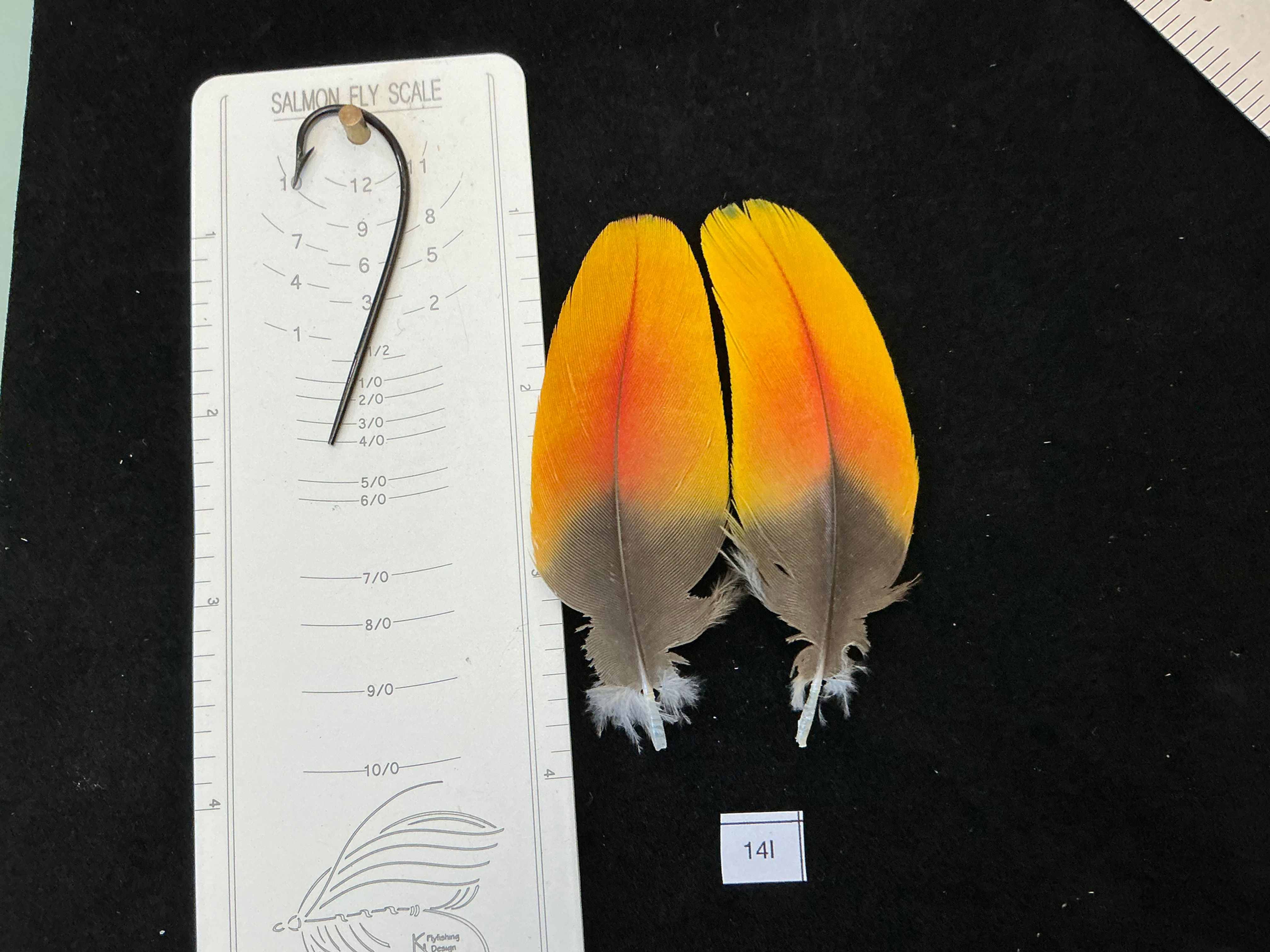 Matched  parrot feathers for  Salmon Flies 14I-14X