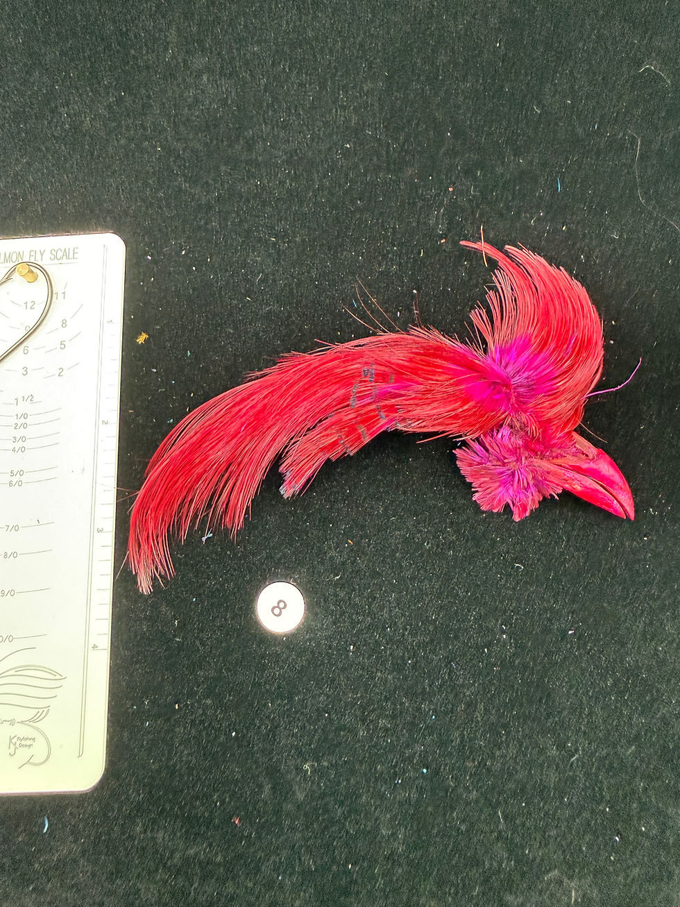 Thumbnail: Dyed Golden Pheasant Toppings 1-15