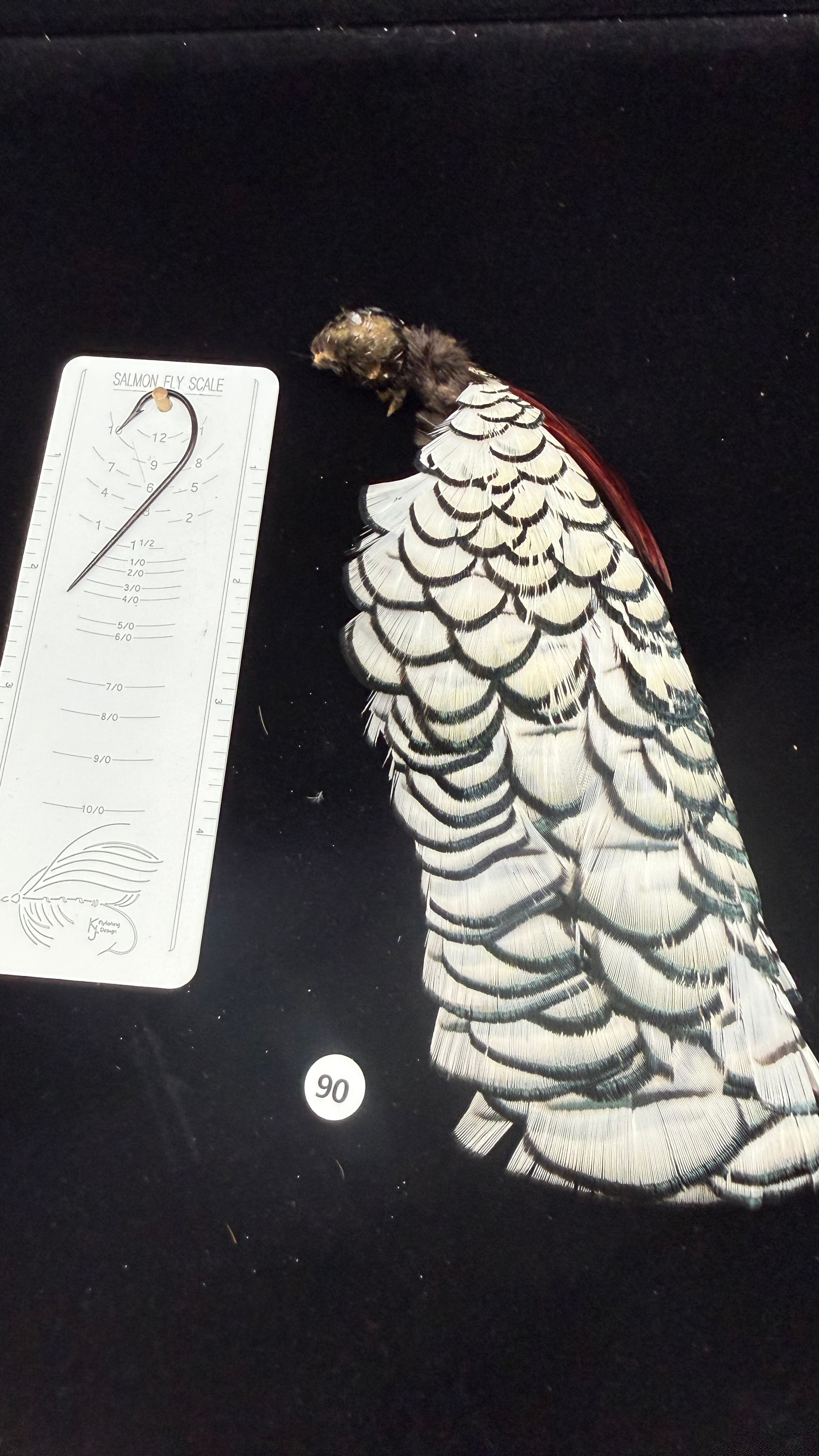 Lady Amherst Pheasant Tippets Patch feathers 90