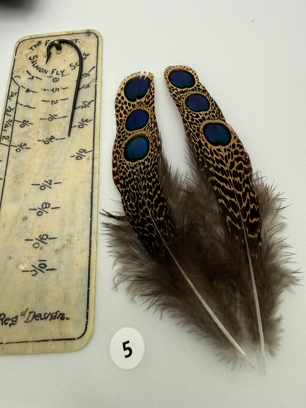 Thumbnail: Malayan Peacock Pheasant  Eye Feathers (3 pair) #5