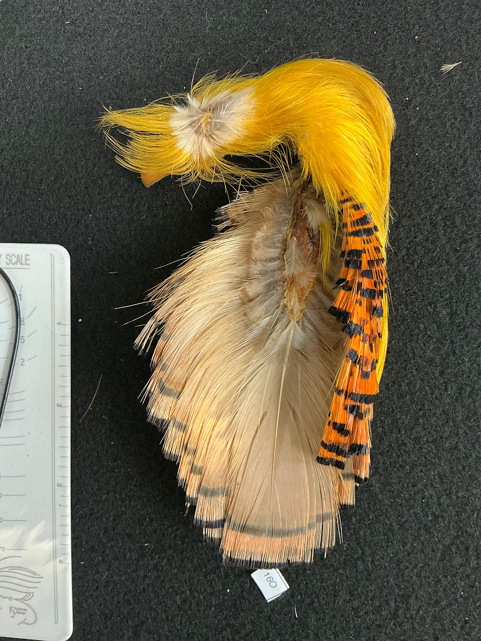 Thumbnail: Super Quality Golden Pheasant Toppings/Crests Tippets 16O