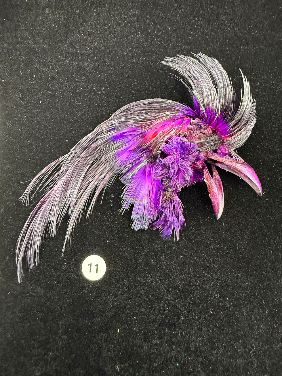 Thumbnail: Dyed Golden Pheasant Toppings 1-15