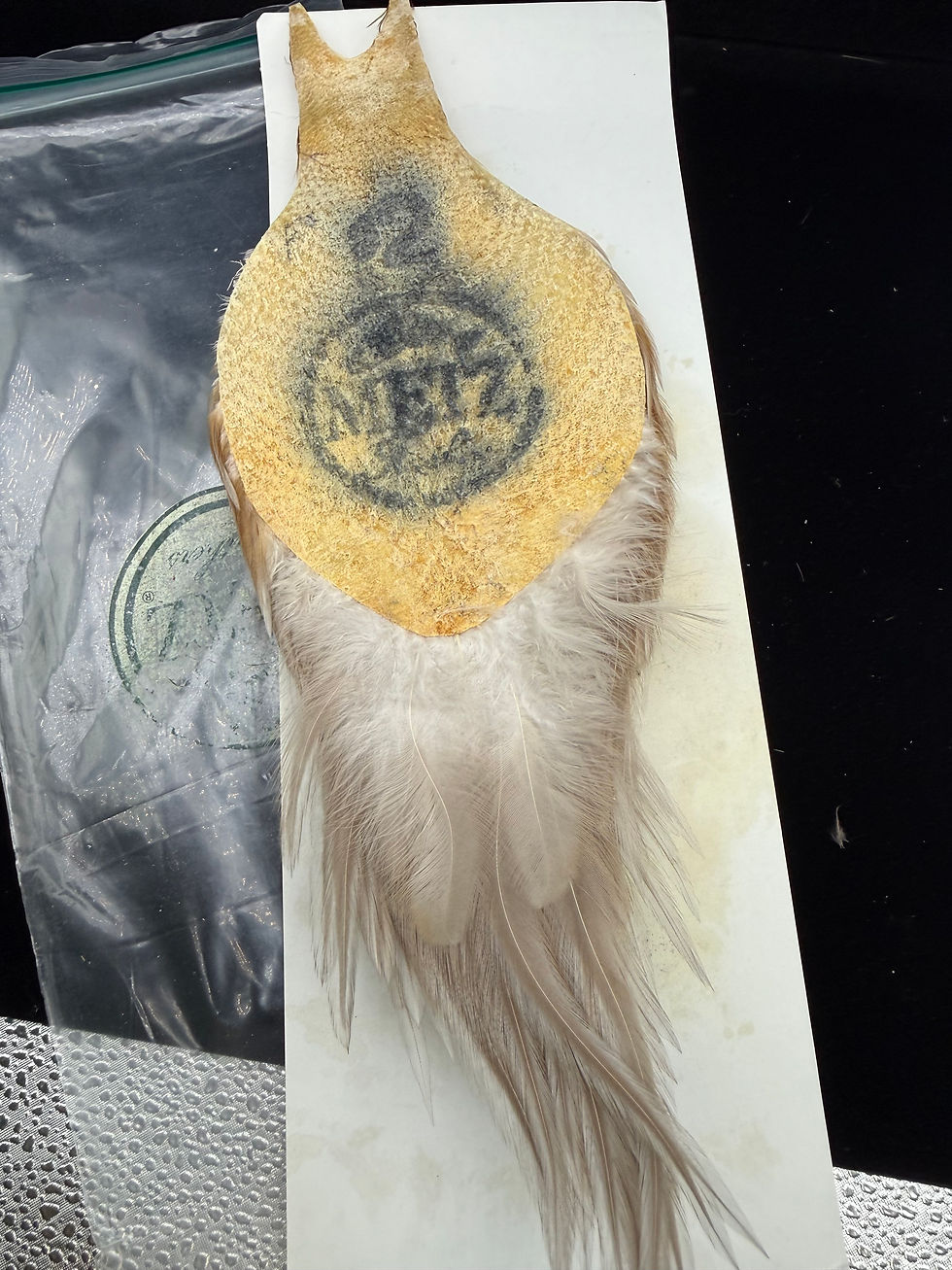 Thumbnail: Vintage Metz Dry Fly Neck Lucas Collection 39