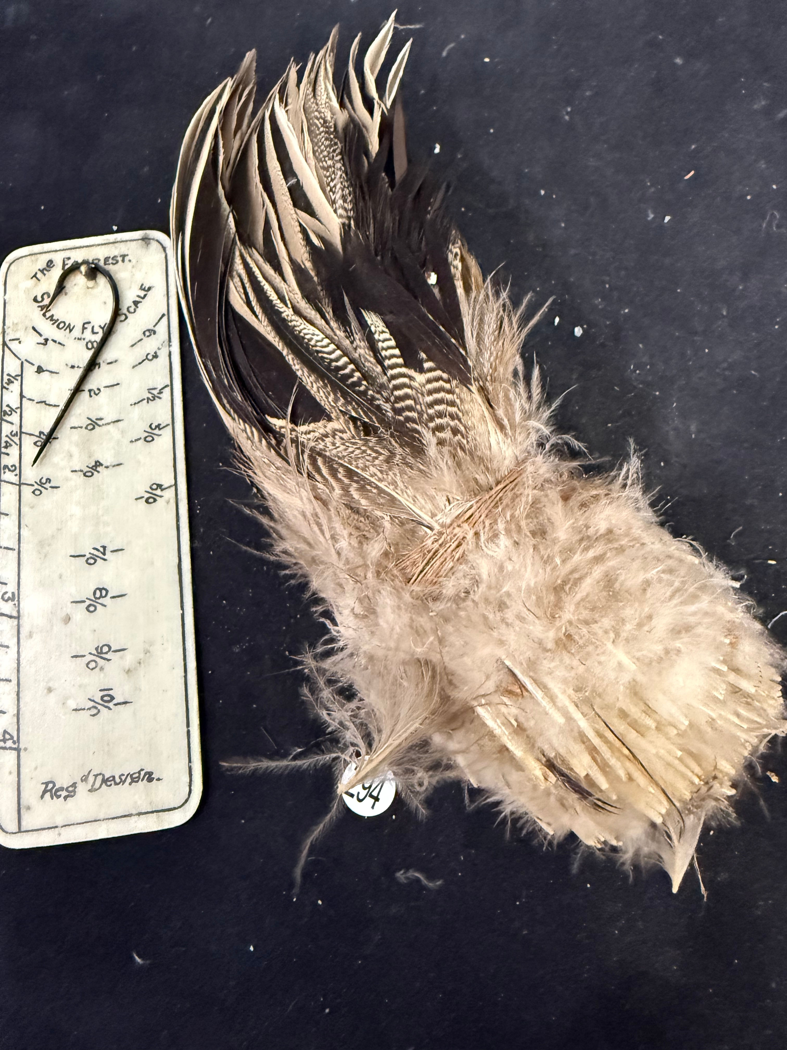 Vintage Large Clump of Premium Pintail Drake Duck feathers 294