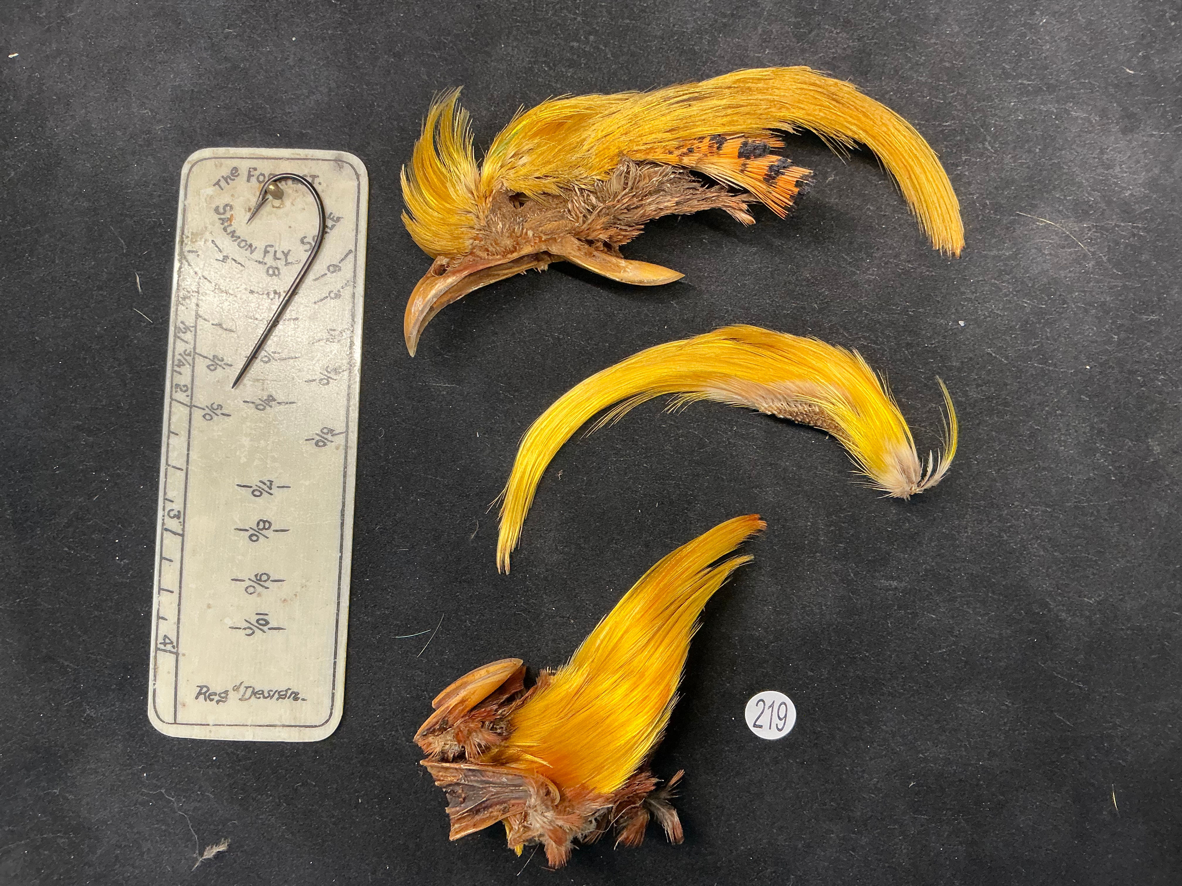 Golden Pheasant Topping lot 219