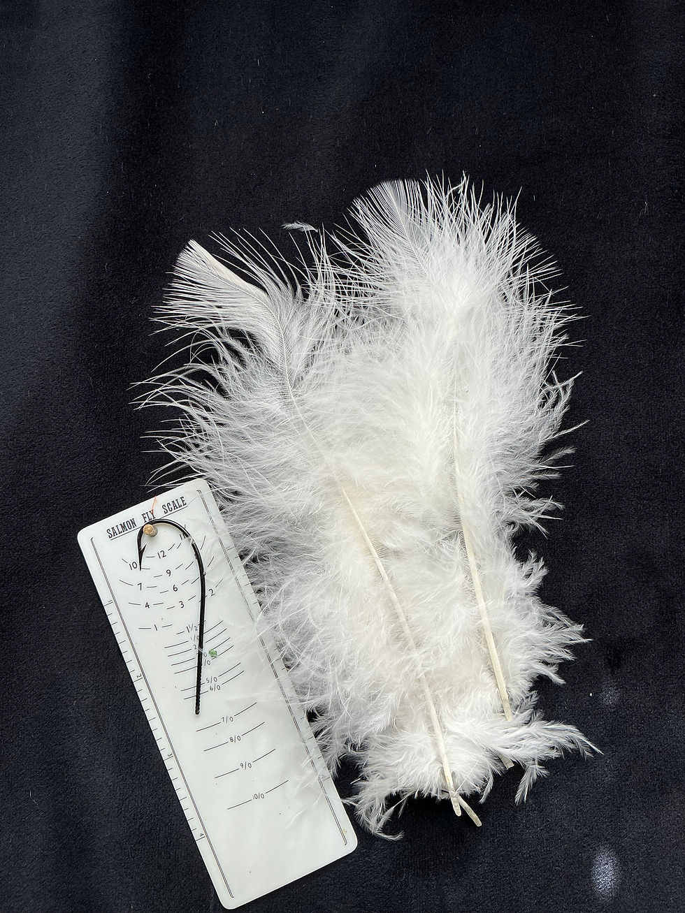 Thumbnail: Dyed Marabou