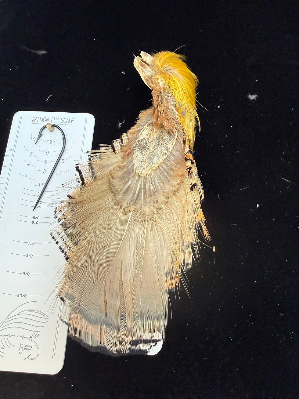 Thumbnail: Super Quality Golden Pheasant Toppings/Crests Tippets #85