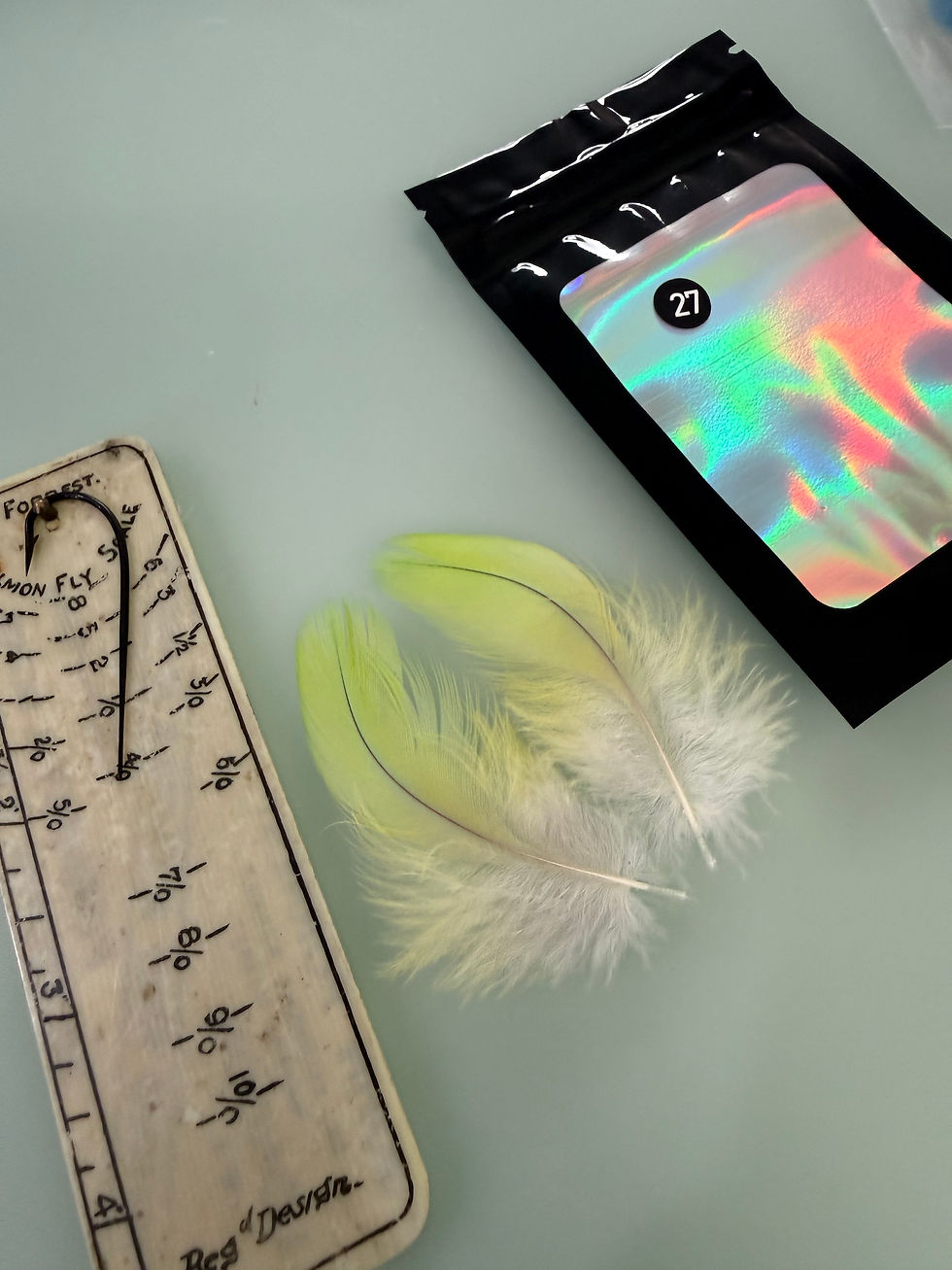 Thumbnail: Matched  Macaw/Eclectus feathers for  Salmon Flies 20-33