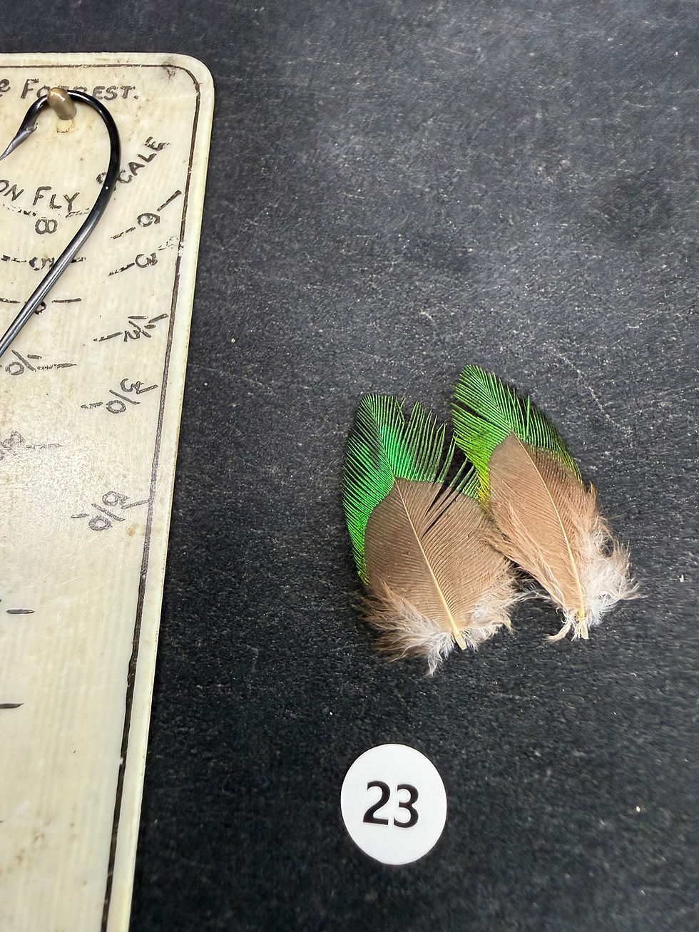Thumbnail: PREMIUM Vintage Quetzal  Feathers 12-26