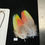 Thumbnail: Matched  parrot feathers for  Salmon Flies 9O-10D