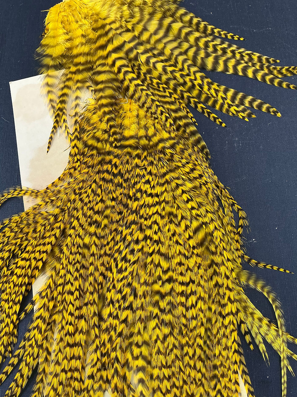 Thumbnail: Vintage Metz Dry Fly Neck Grizzly from Lucas Collection N11