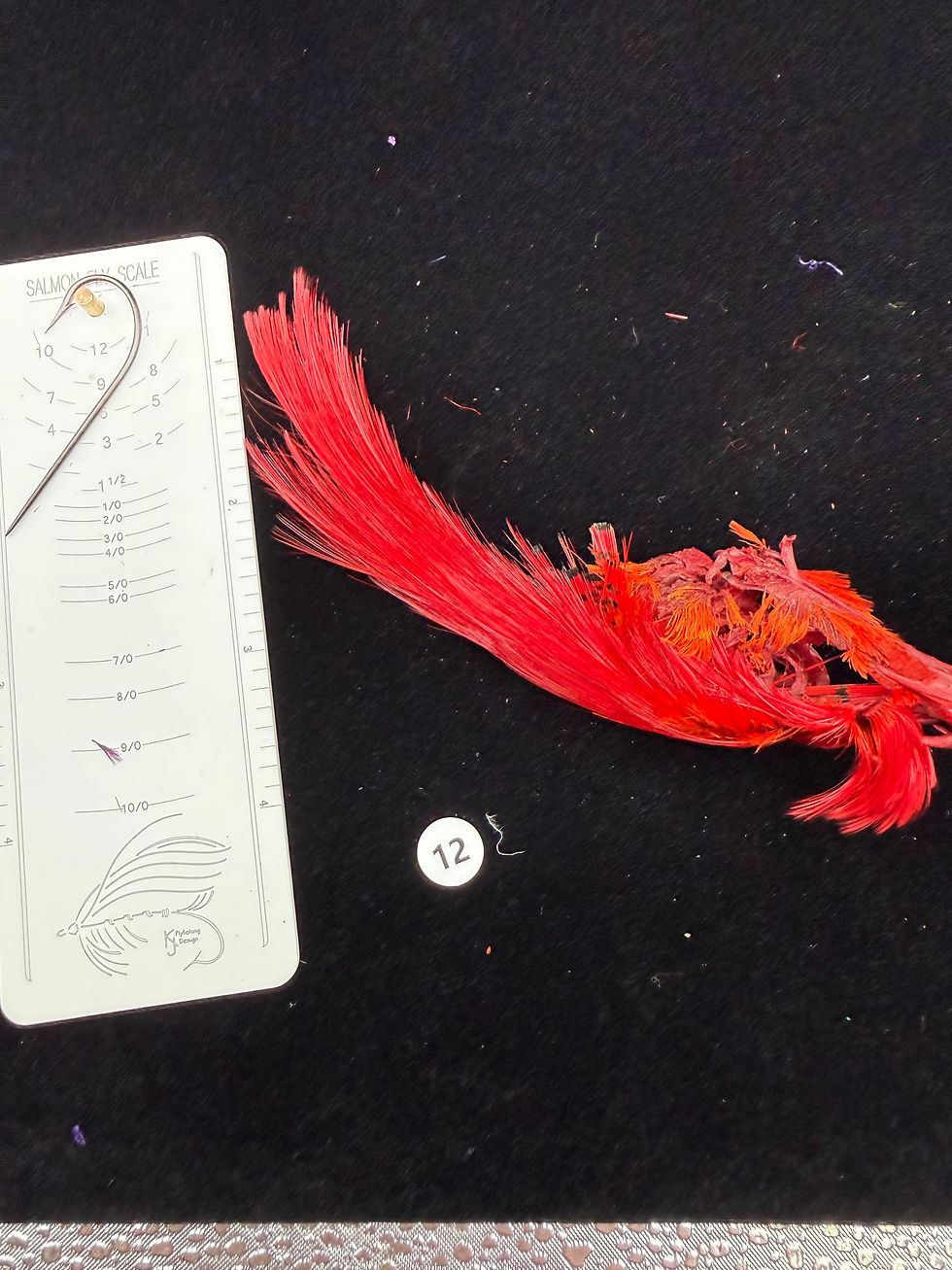 Thumbnail: Dyed Golden Pheasant Toppings 1-15