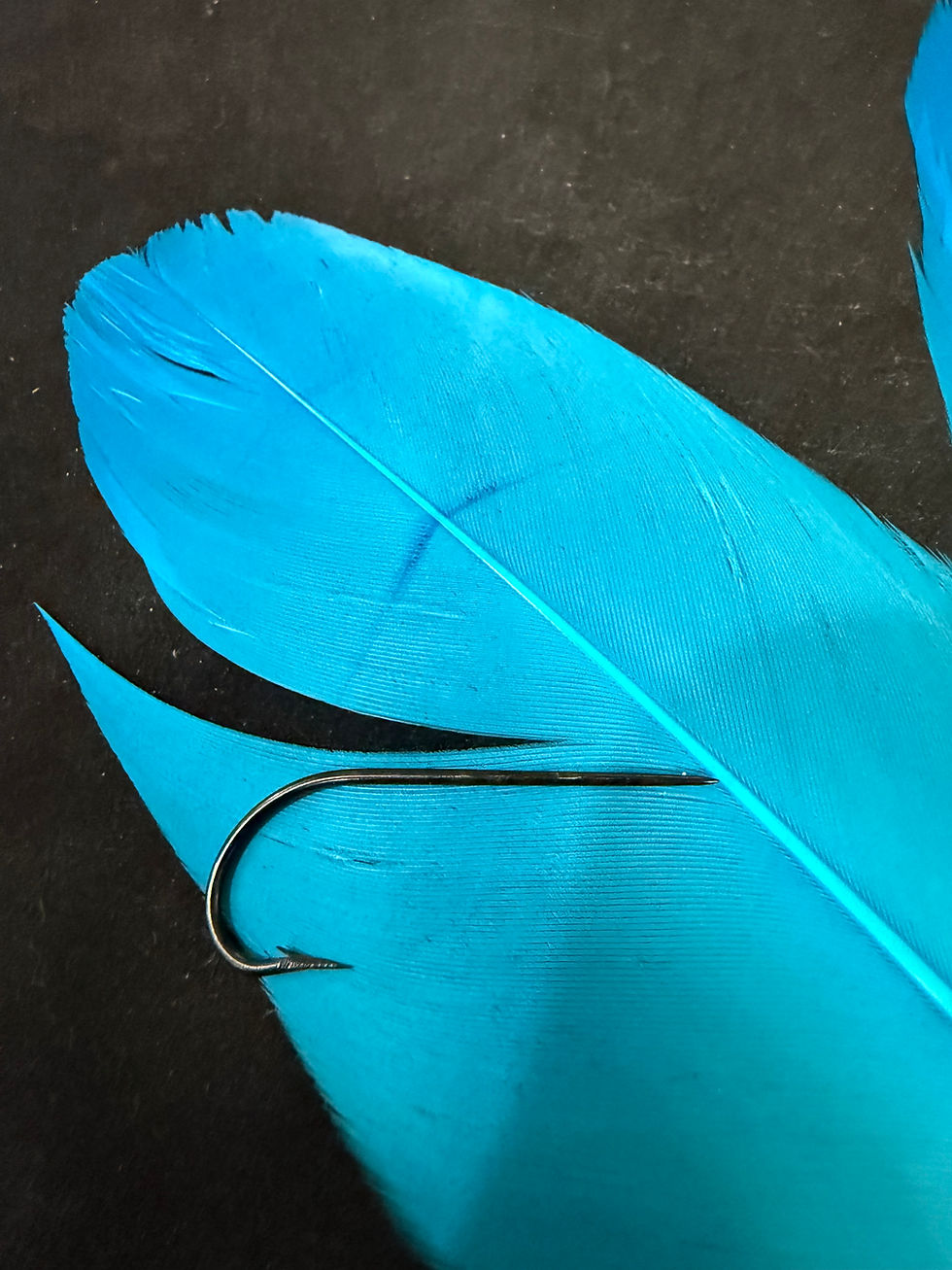 Thumbnail: Swan Dyed Feathers Set  FeathersMC as Shown 283