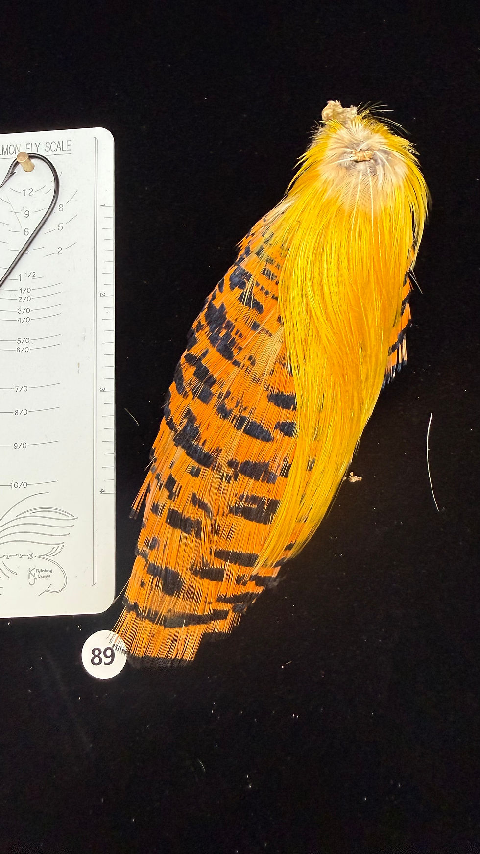 Thumbnail: Super Quality Golden Pheasant Toppings/Crests Tippets #89