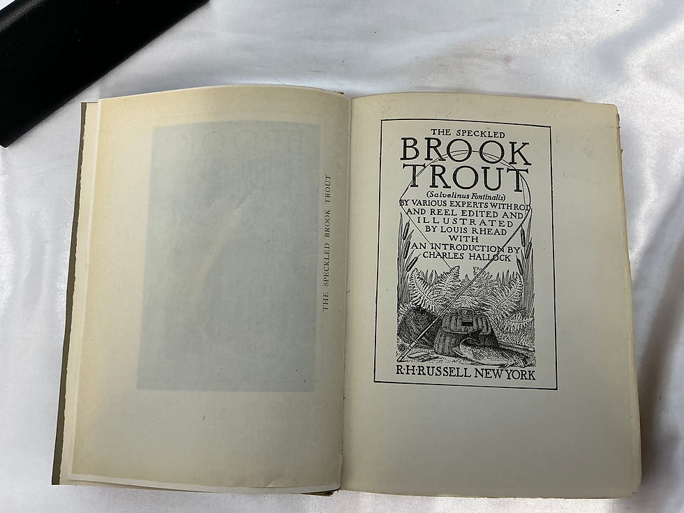 Thumbnail: The Speckled Brook Trout R H Russell
