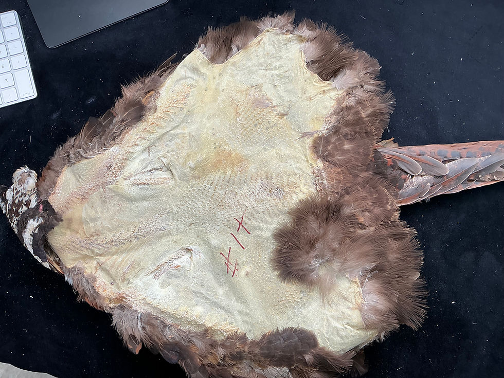 Thumbnail: Ronn Lucas Estate Copper Cross Hybrid Pheasant skin