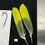 Thumbnail: Matched  parrot feathers for  Salmon Flies 1O-2D