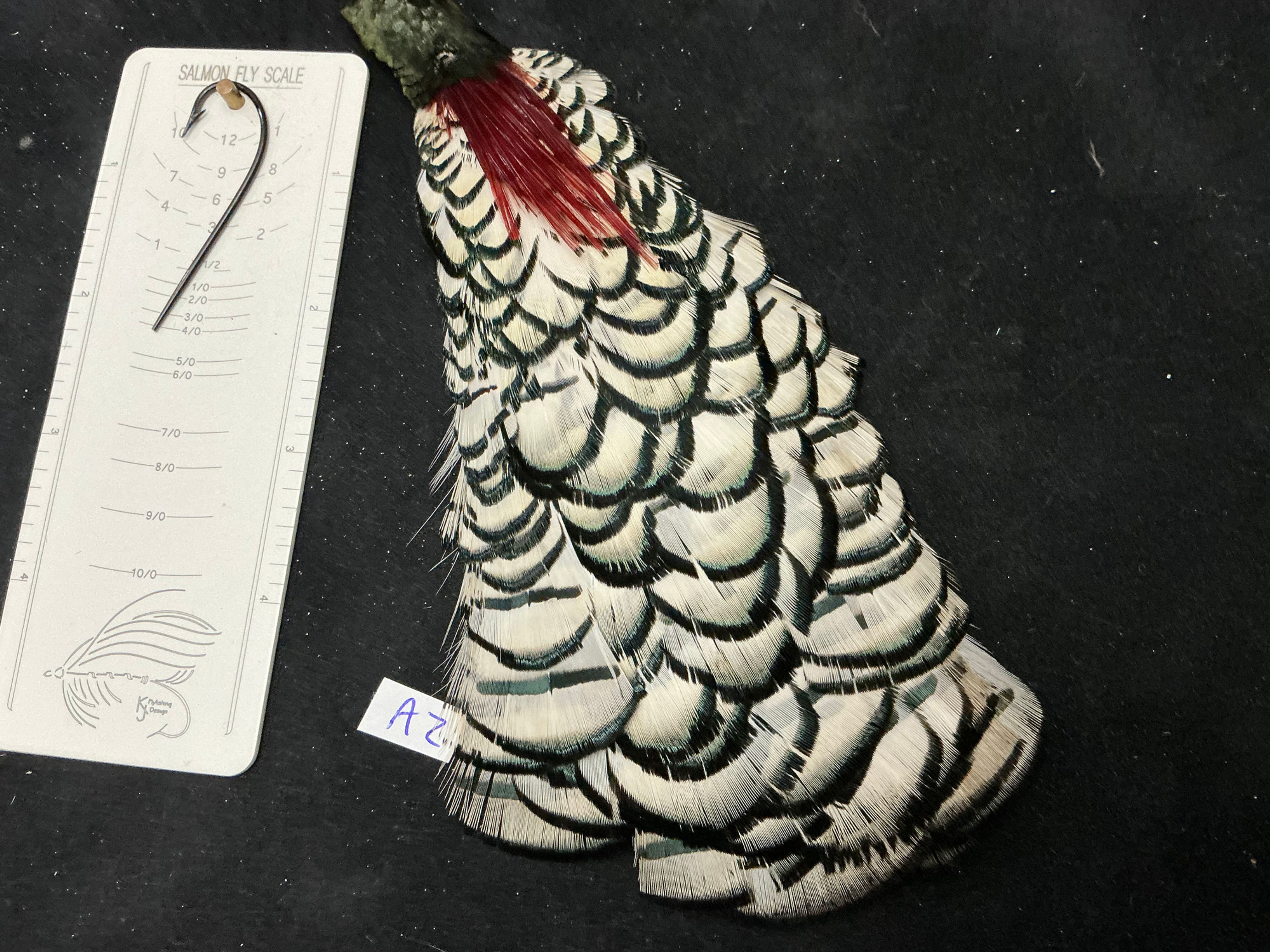 Lady Amherst Pheasant Tippets Patch feathers A2