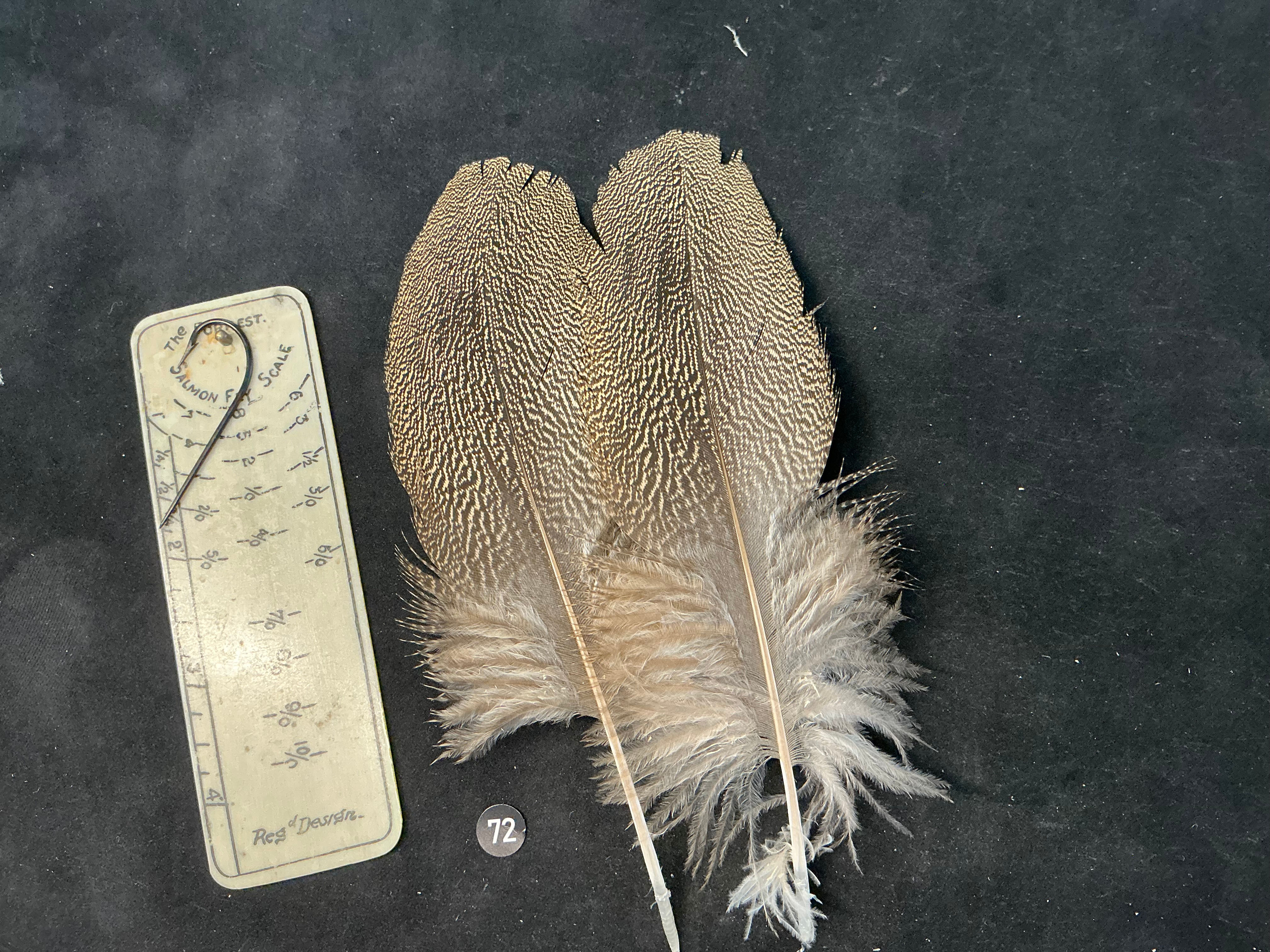 Kori Bustard  feathers  as shown 5/0 #72