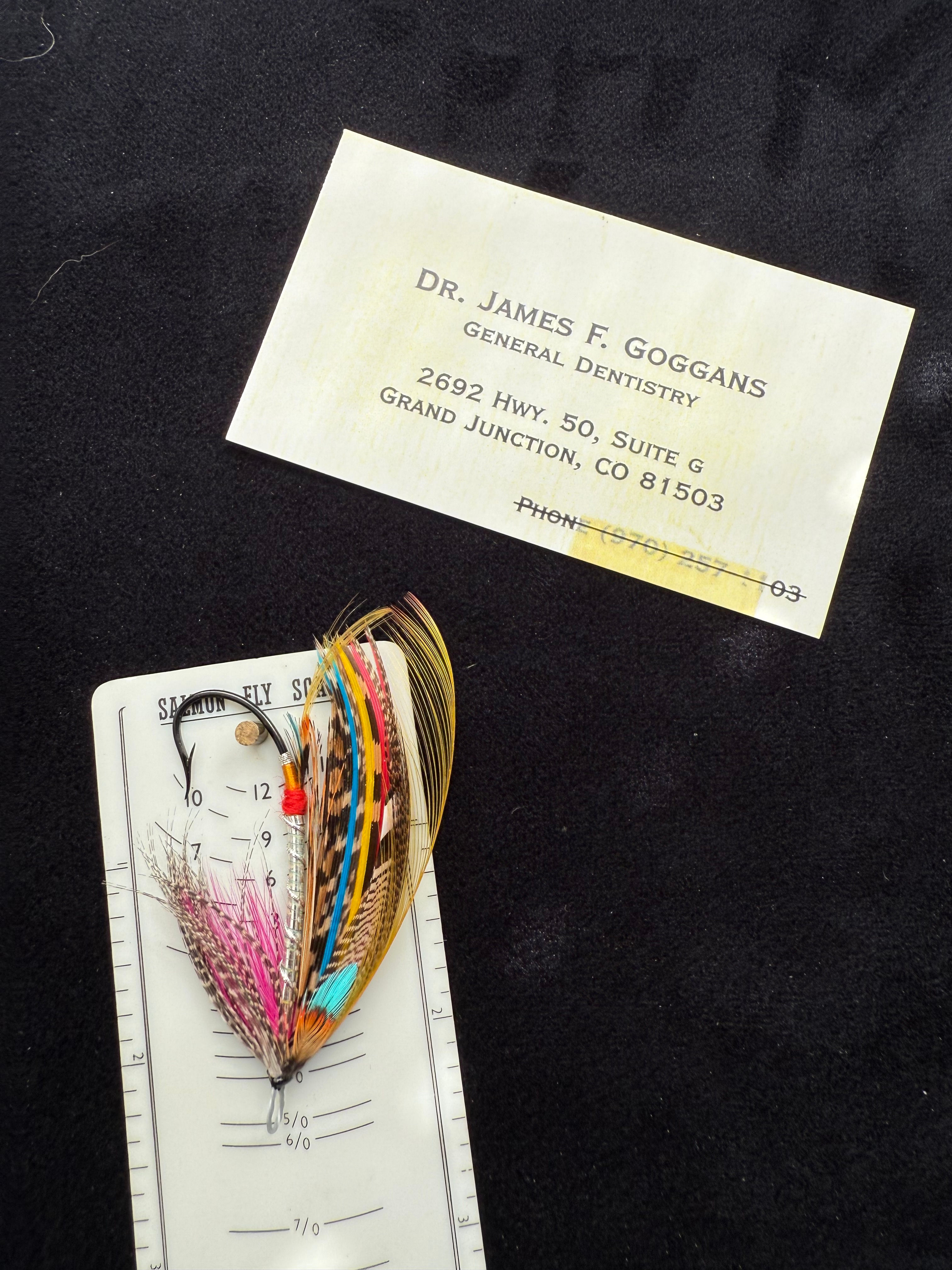 Dr. James Goggans  Salmon Fly G6