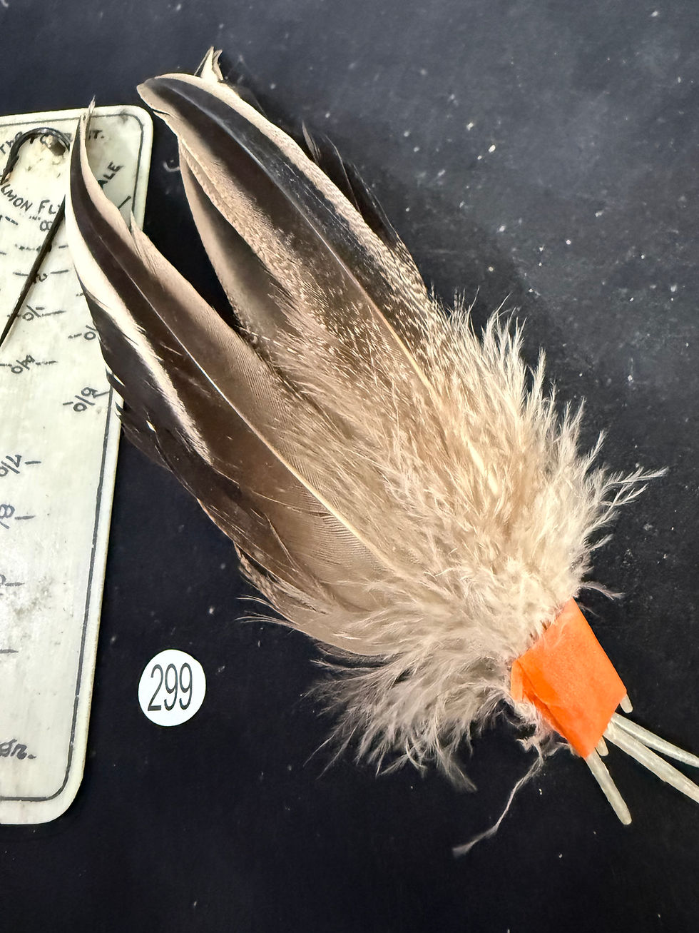 Thumbnail: Premium Pintail  Drake Duck feathers