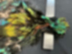 Thumbnail: Monal Impeyan Pheasant bird skin 2
