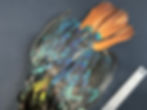 Thumbnail: Monal Impeyan Pheasant bird skin 2