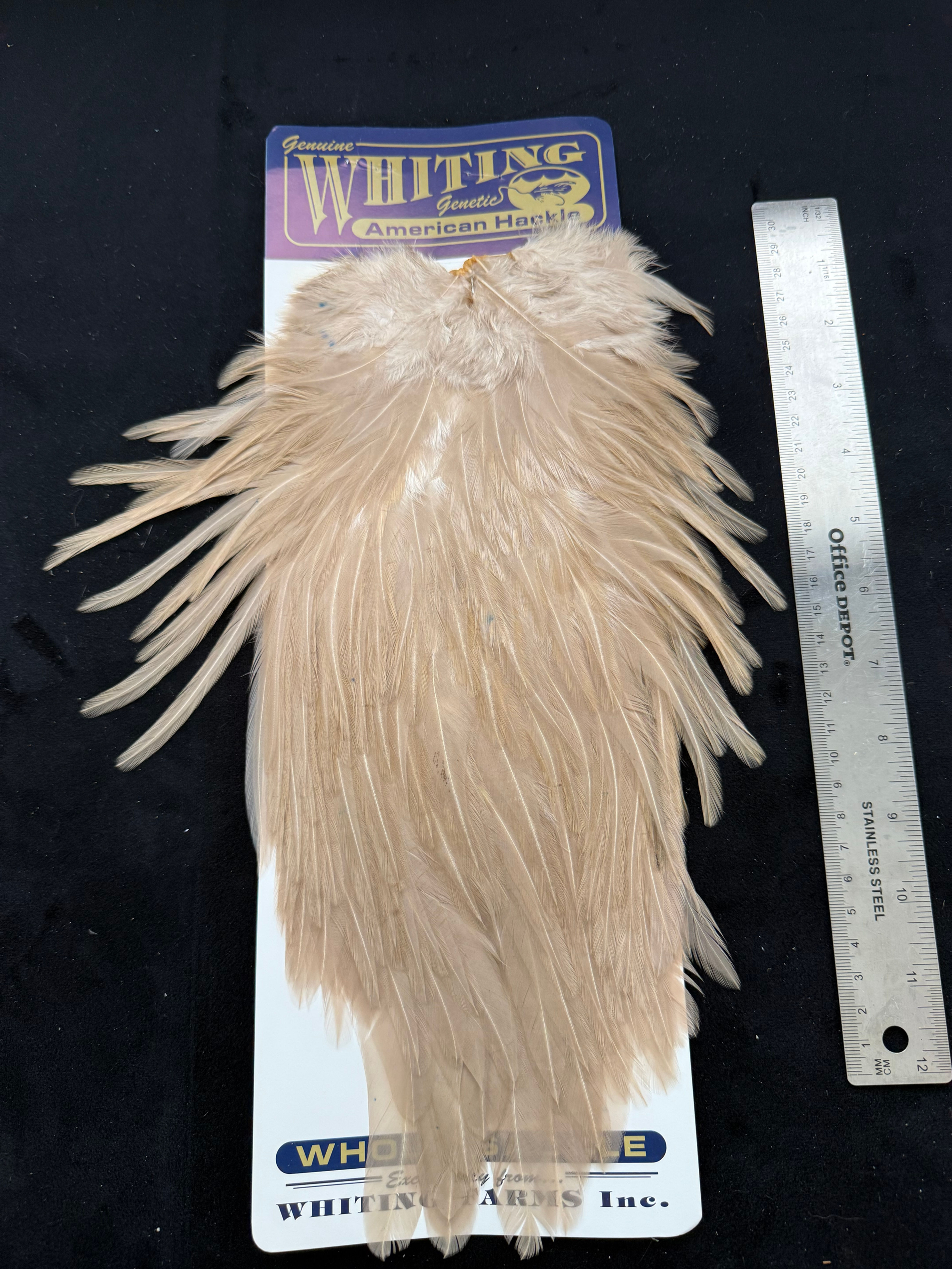 Vintage Whiting American Genetic Saddle Hackle from Cullen Collection S4