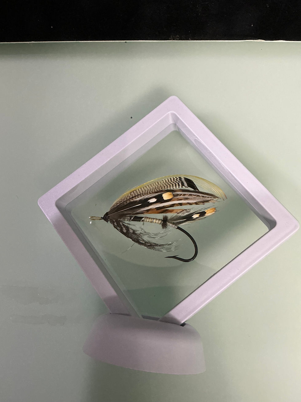 Thumbnail: Dr. James Goggans  Salmon Fly GJ12