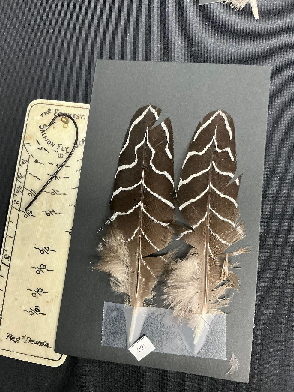 Thumbnail: Lewis Cross Silver  Pheasant feathers 4