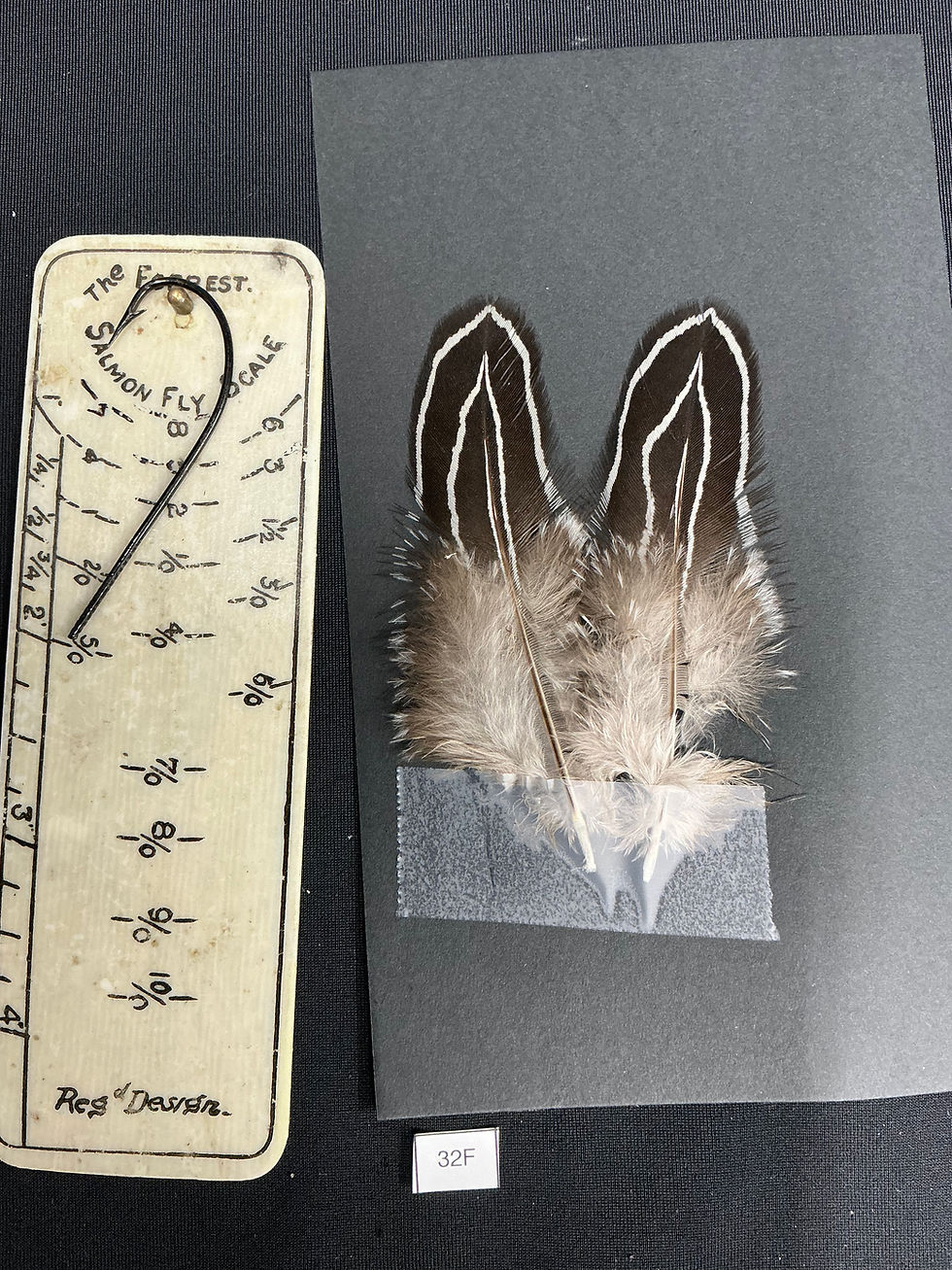 Thumbnail: Lewis Cross Silver  Pheasant feathers 4