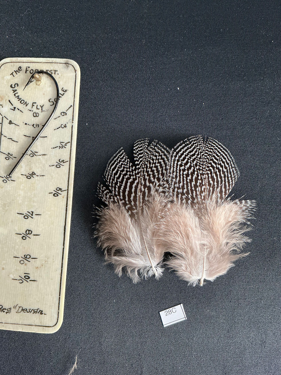Thumbnail: Lewis/Anderson's  Cross Silver  Pheasant feathers