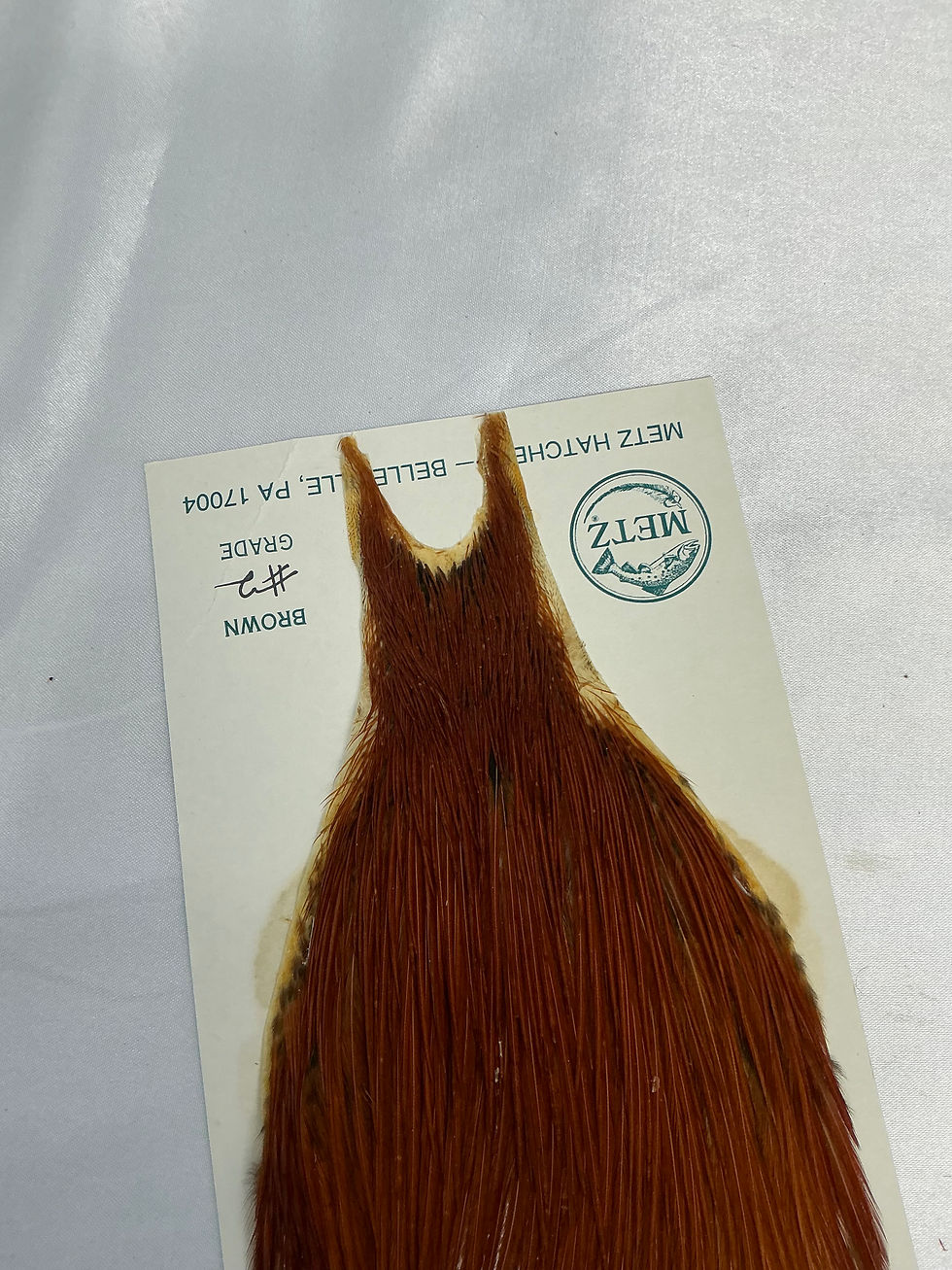 Thumbnail: #2  Grade Vintage Metz Dry Fly Neck Cullen Collection