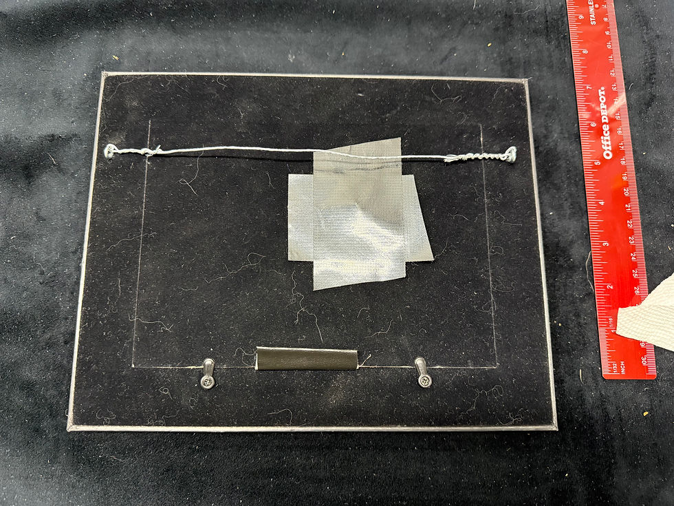Thumbnail: Dr. James Goggans framed  Salmon Fly
