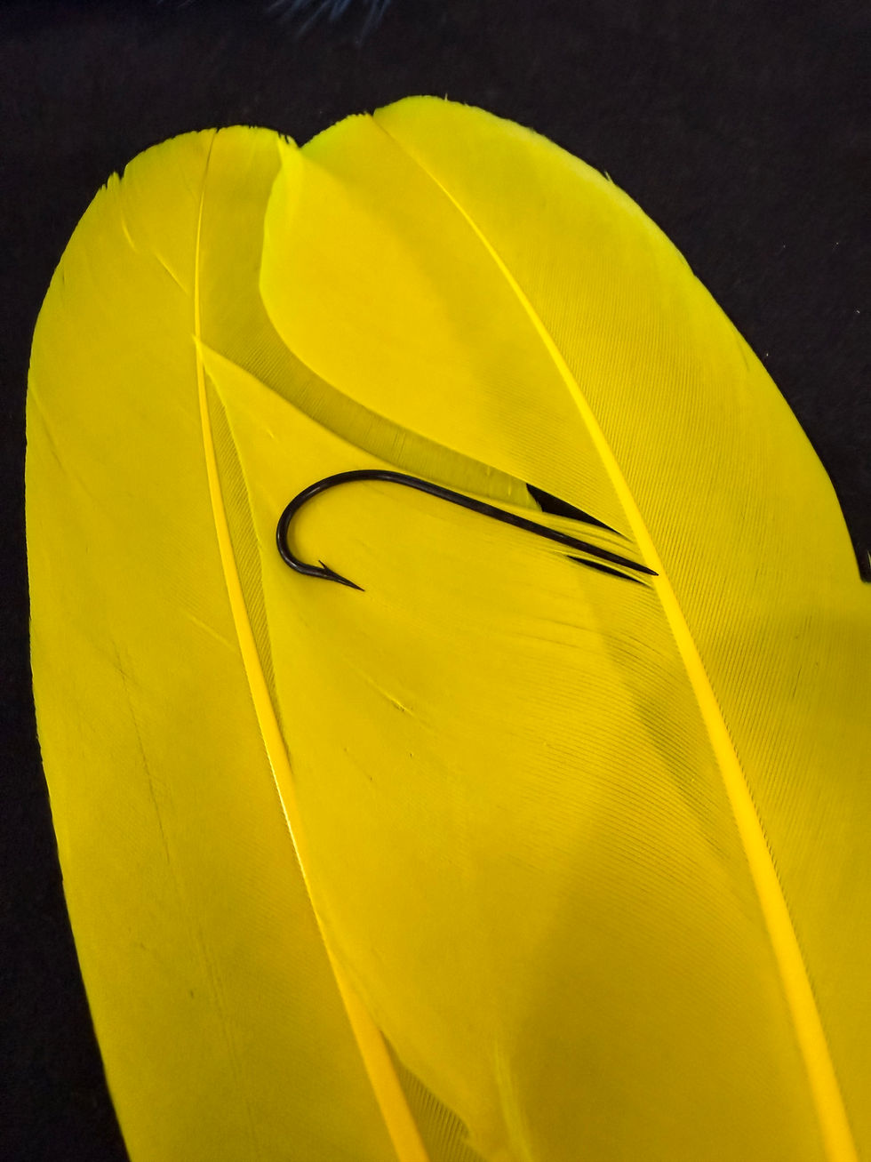 Thumbnail: Swan Dyed Feathers Set  FeathersMC as Shown 283