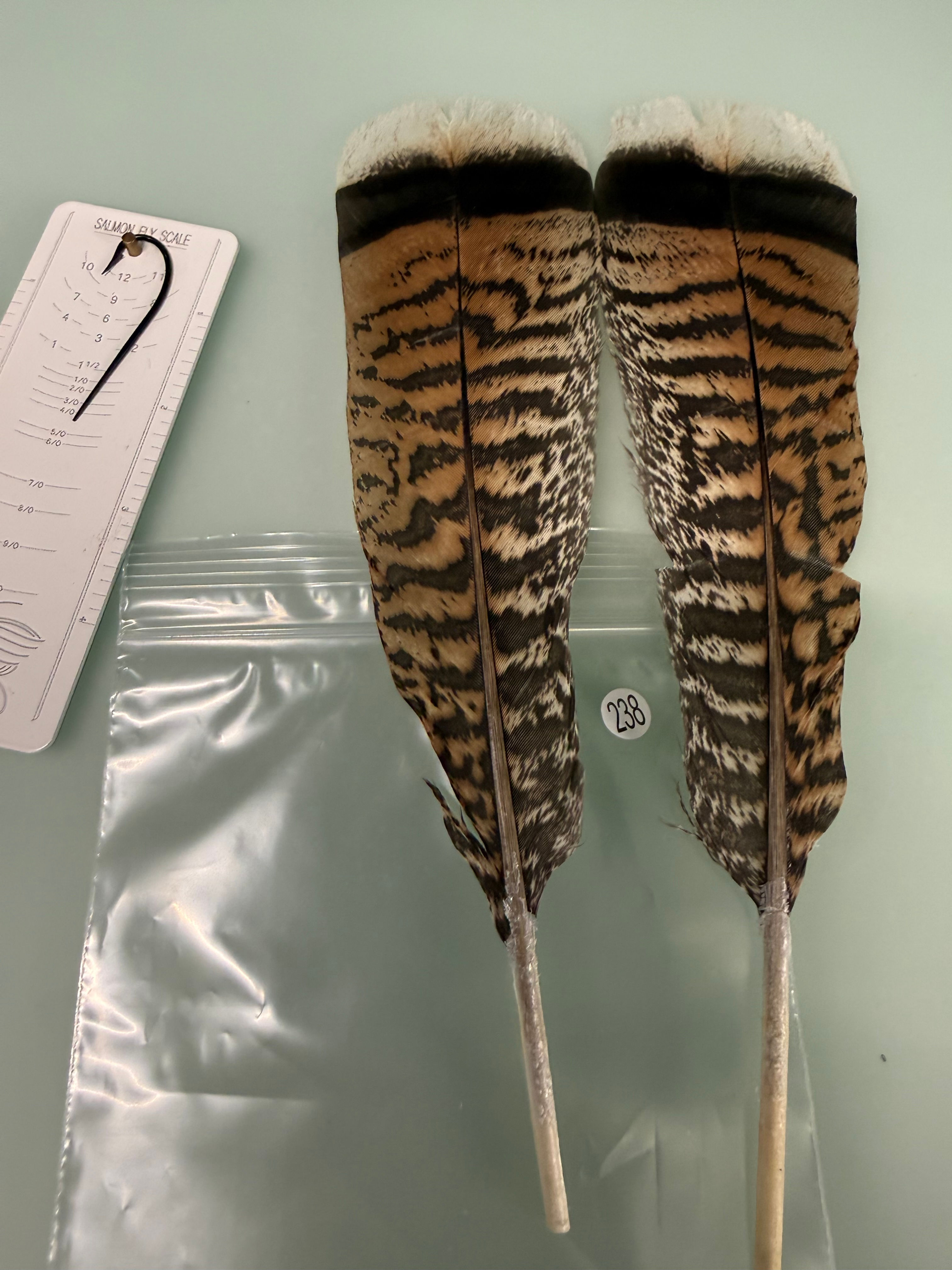 Lucas Premium Cinnamon Tipped Turkey Feathers 238A