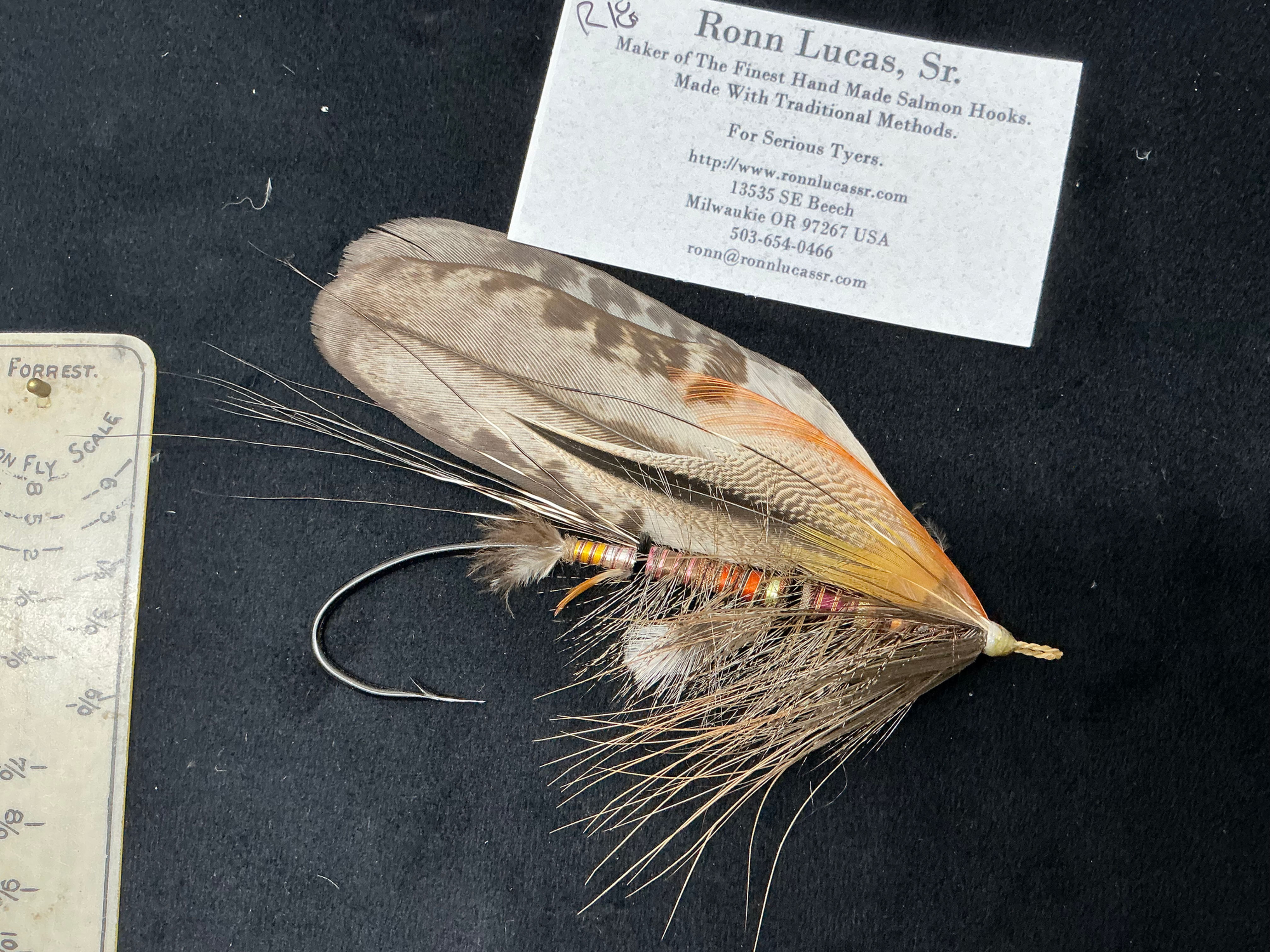 Ronn Lucas Salmon Fly R18