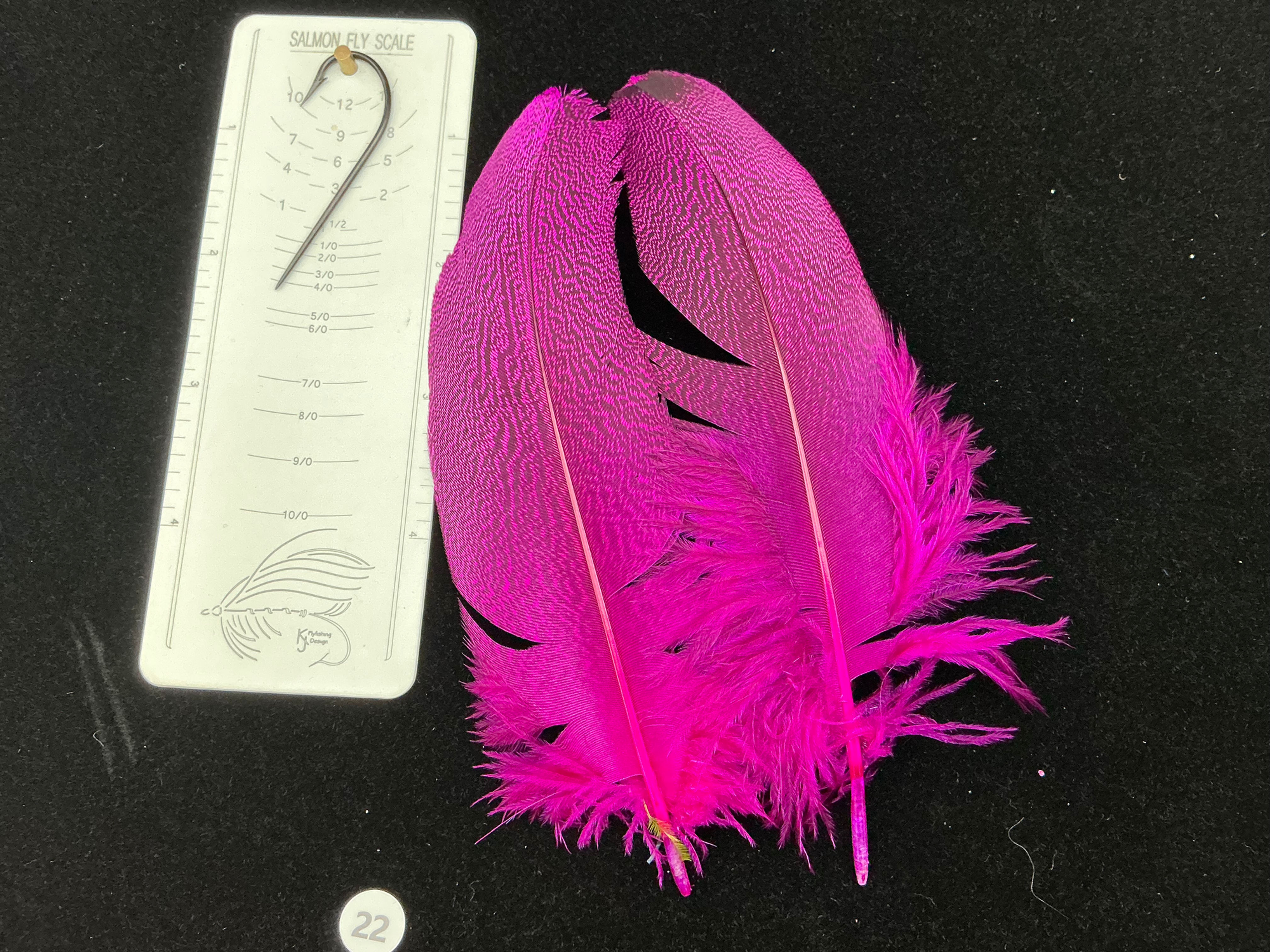 Dyed Kori Bustard feather pair 22