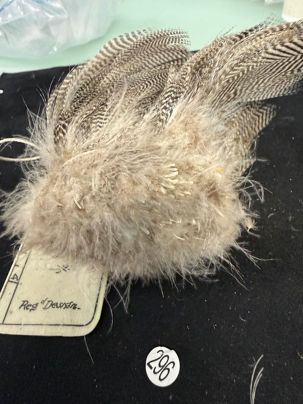 Thumbnail: Vintage Large Clump of  Premium Teal Duck feathers 296