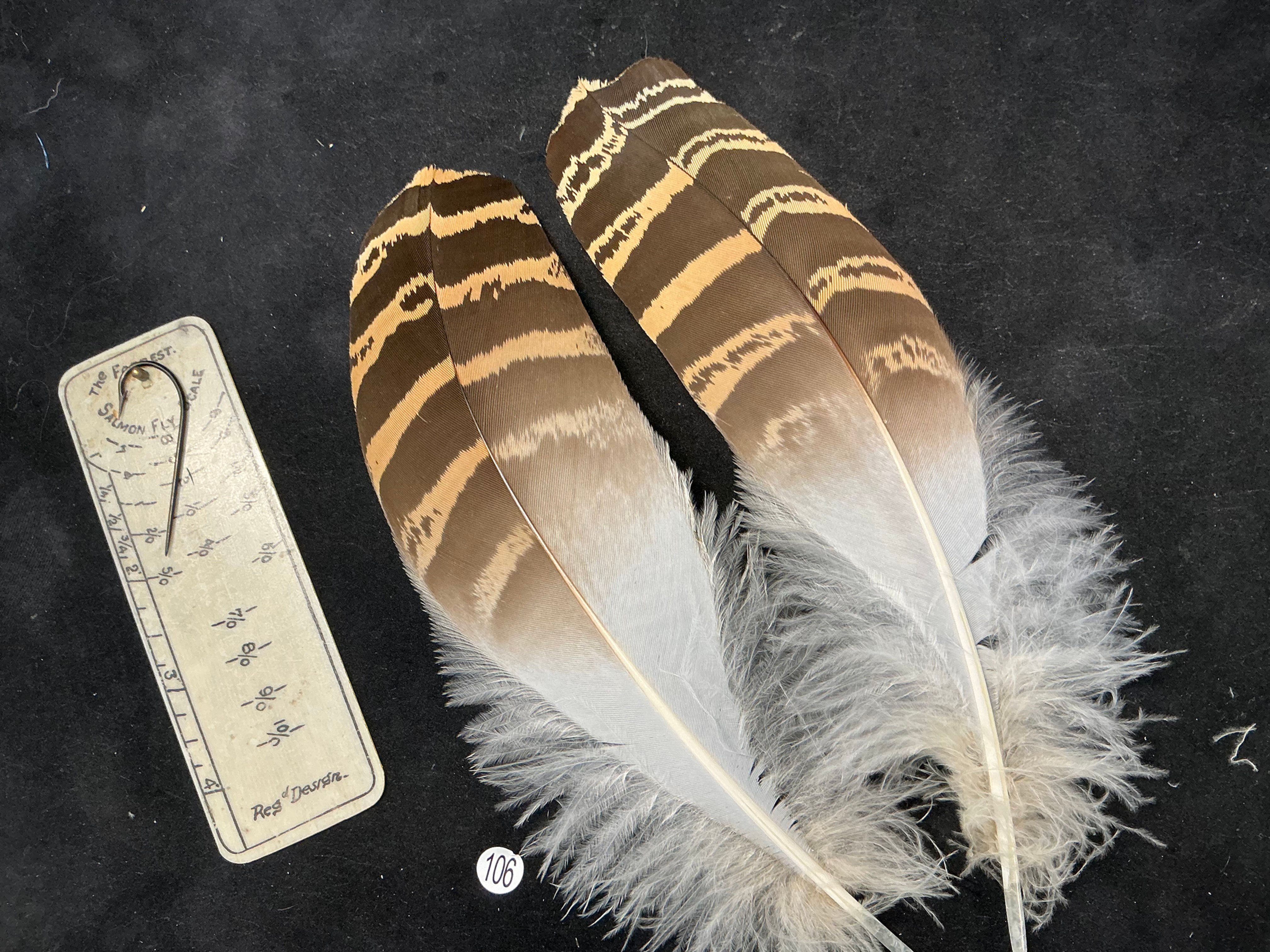 copy of Florican Bustard Feathers  as shown 7/0 #106