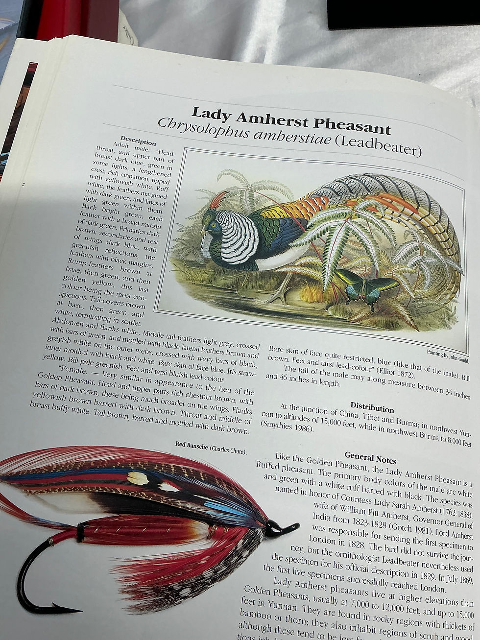 Thumbnail: Rare and Unusual Fly Tying Materials Vol.1 Schmookler and Sils